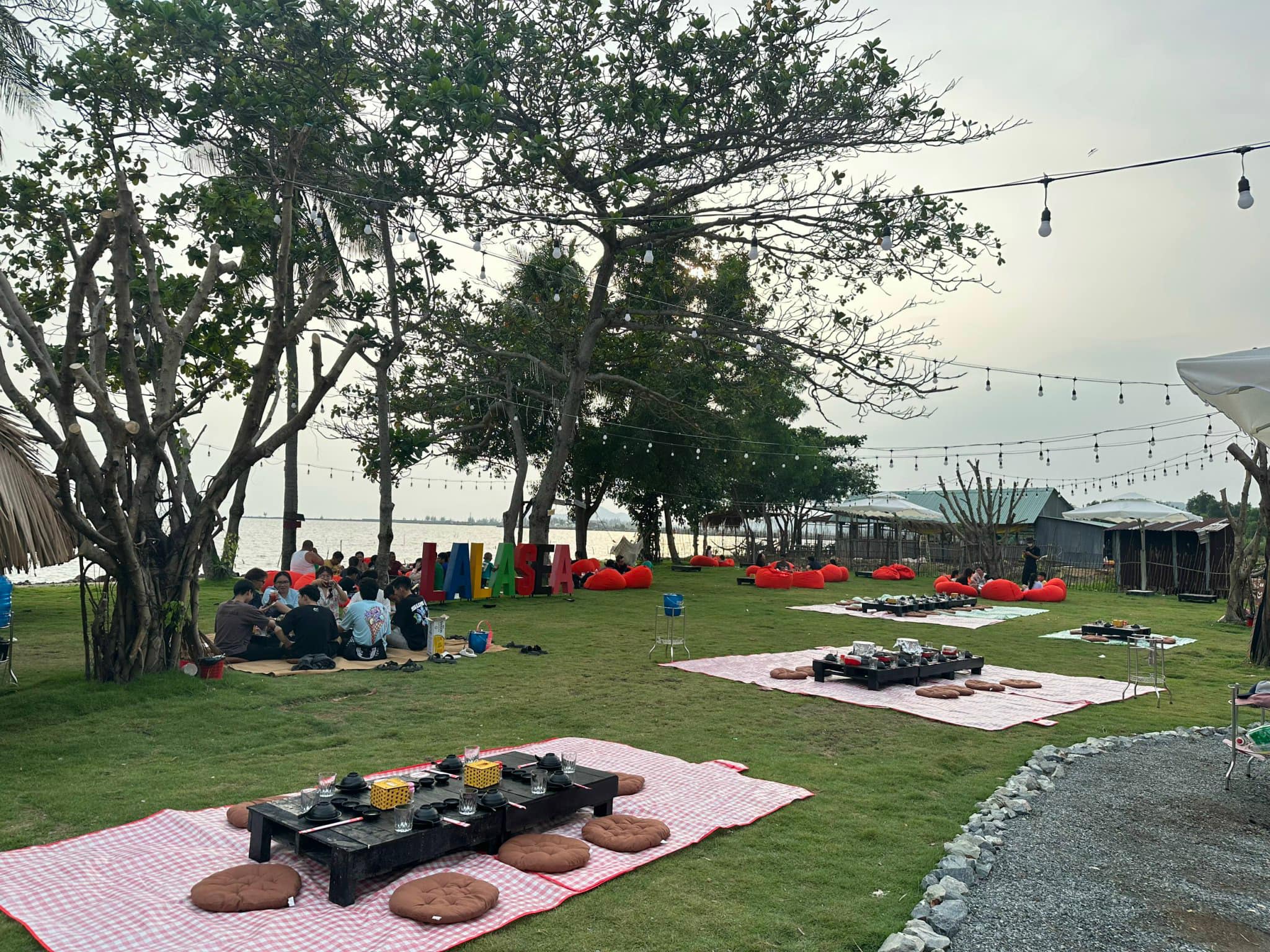 Bãi cỏ picnic bên bờ biển